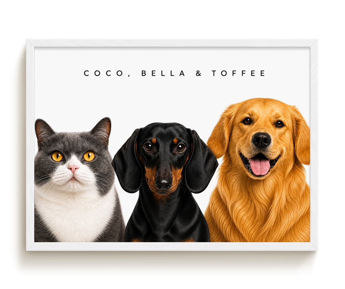 pdp-map:b63e9b5683cac65b:modern_portrait__coco-bella-toffee__bg-f7f7f7__text-242424__White_Horizontal.png