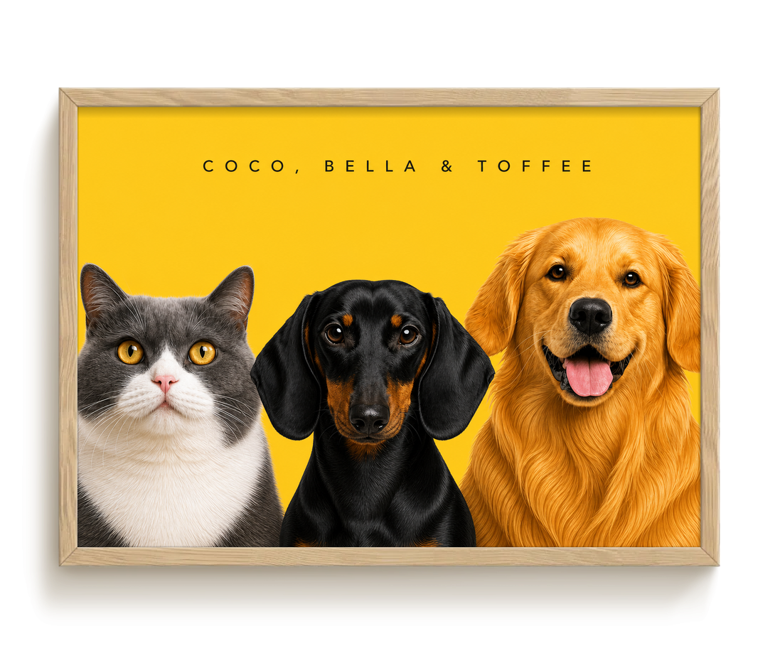 pdp-map:7ce1196d417f2921:modern_portrait__coco-bella-toffee__bg-feca33__text-242424__Birch_Horizontal.png