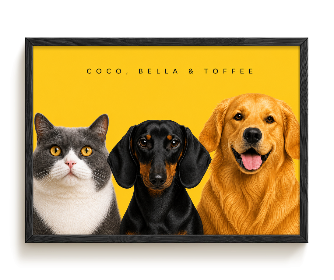 pdp-map:682b088d65456f63:modern_portrait__coco-bella-toffee__bg-feca33__text-242424__Black_Horizontal.png