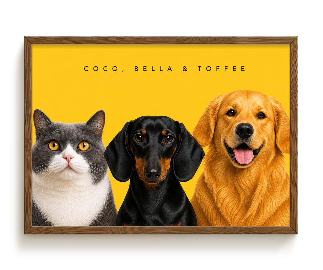 pdp-map:1045f2cfbfaf0142:modern_portrait__coco-bella-toffee__bg-feca33__text-242424__Walnut_Horizontal.png