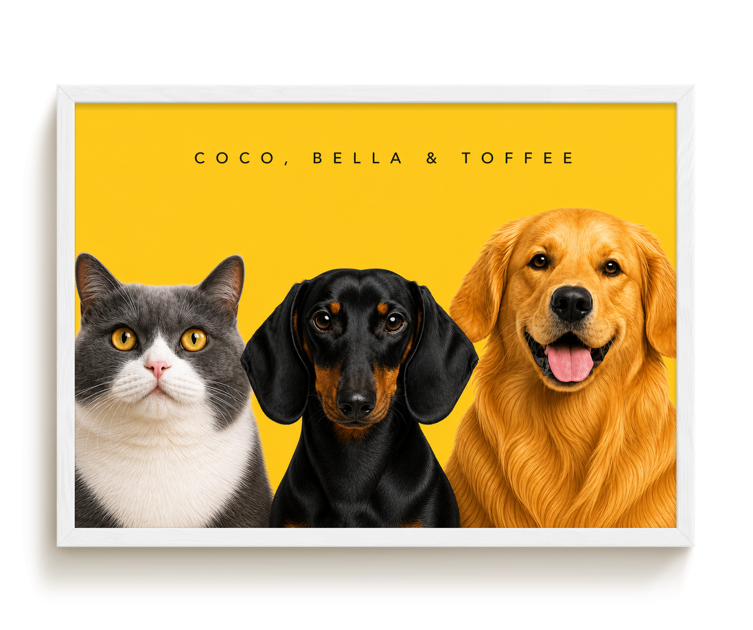 pdp-map:7d9aa12ee2400f30:modern_portrait__coco-bella-toffee__bg-feca33__text-242424__White_Horizontal.png