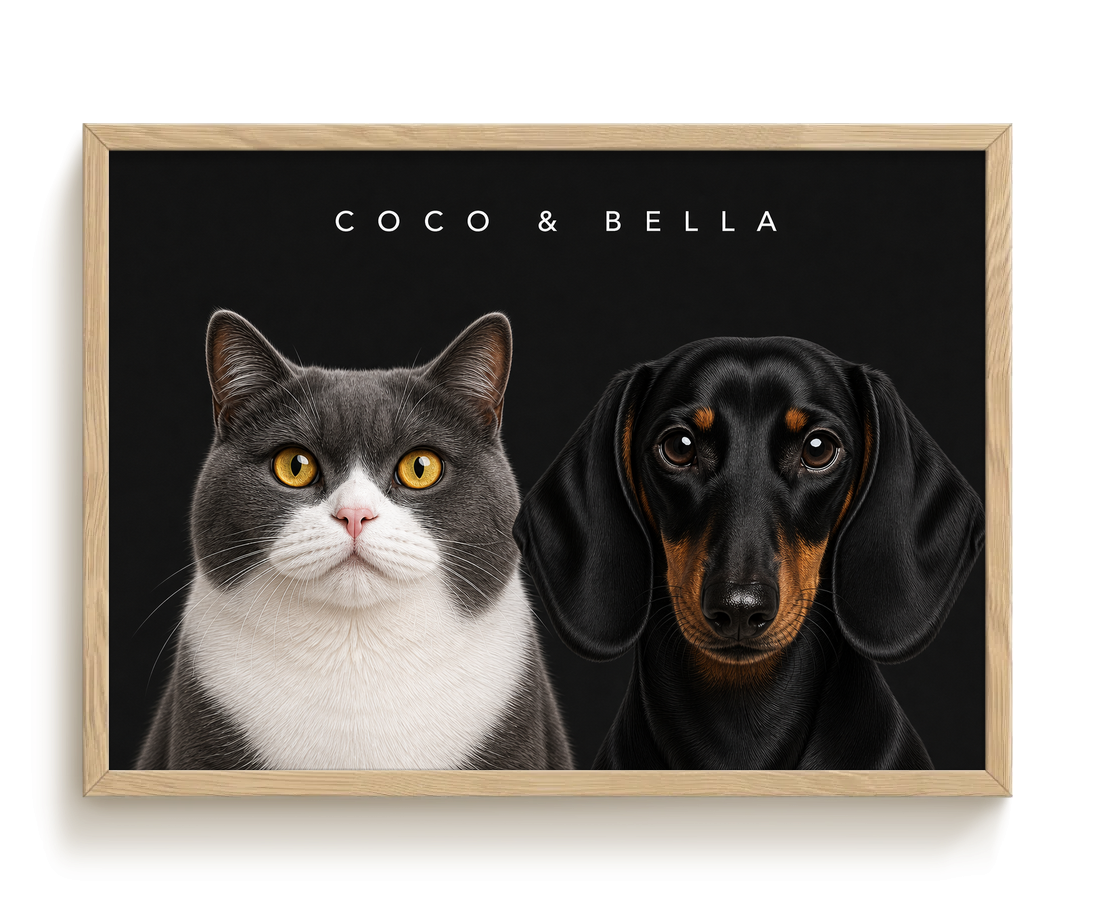 pdp-map:3acef4f9a5edbb80:modern_portrait__coco-bella__bg-242424__text-f7f7f7__Birch_Horizontal.png
