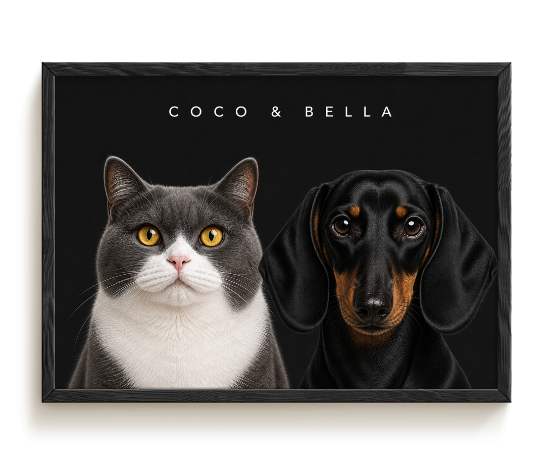 pdp-map:c1c81ec8989c12ca:modern_portrait__coco-bella__bg-242424__text-f7f7f7__Black_Horizontal.png