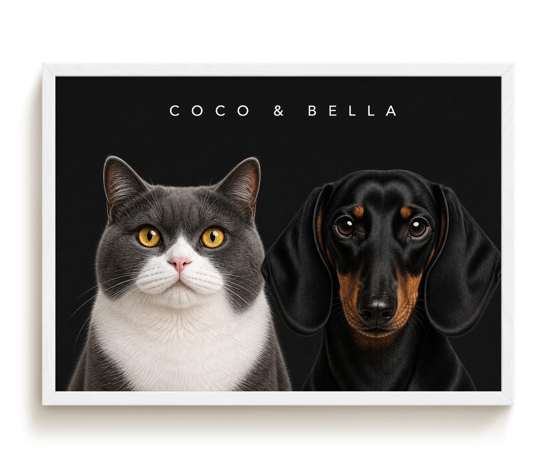 pdp-map:0fa72a08e724d1c0:modern_portrait__coco-bella__bg-242424__text-f7f7f7__White_Horizontal.png