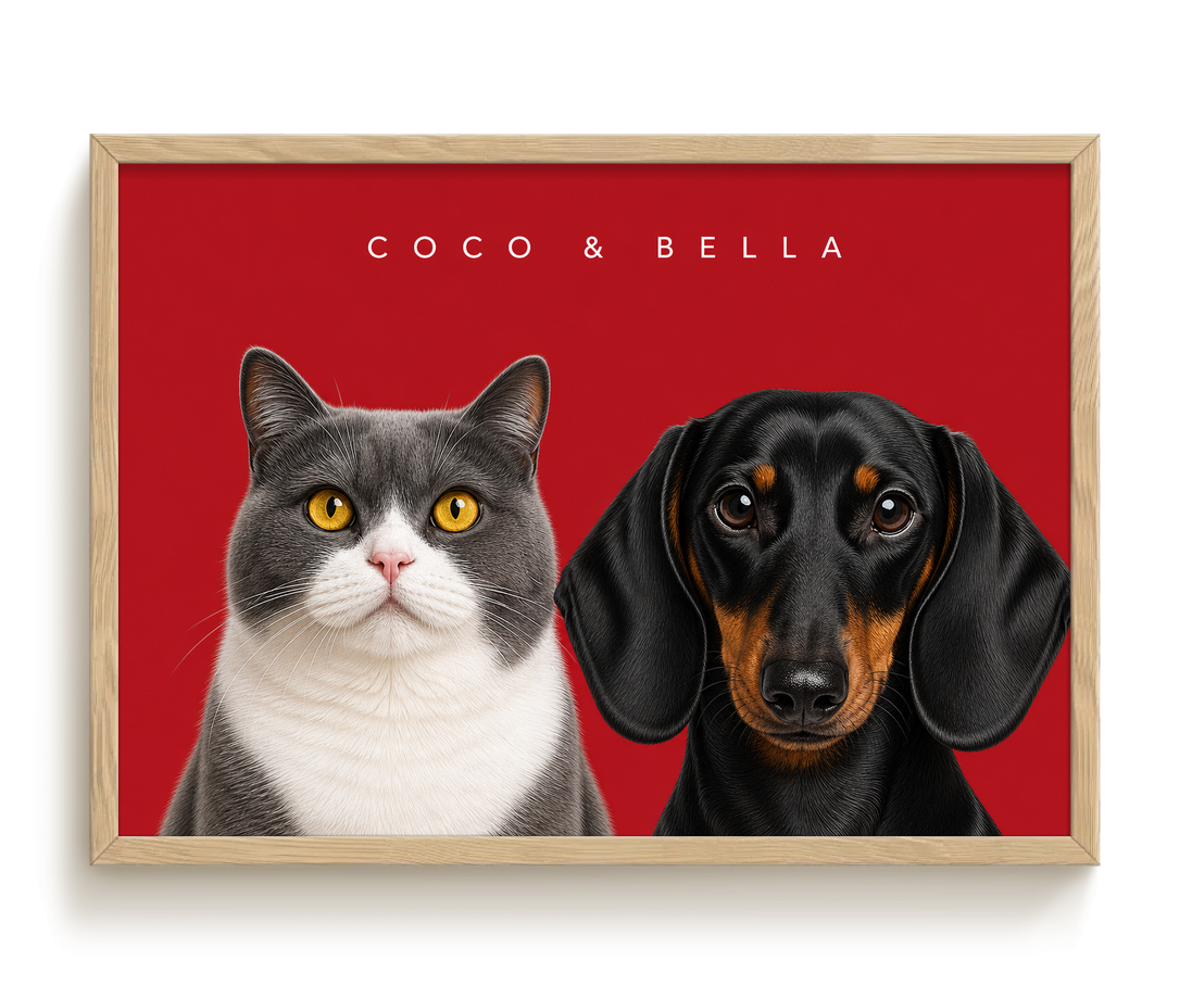 pdp-map:8795279740af420a:modern_portrait__coco-bella__bg-aa2028__text-f7f7f7__Birch_Horizontal.png