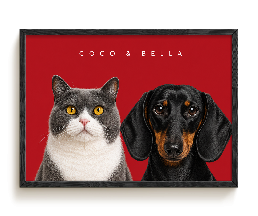 pdp-map:91b5481b71b6ea23:modern_portrait__coco-bella__bg-aa2028__text-f7f7f7__Black_Horizontal.png