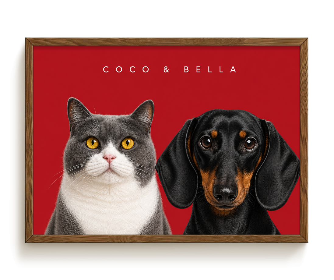 pdp-map:161da82229985890:modern_portrait__coco-bella__bg-aa2028__text-f7f7f7__Walnut_Horizontal.png