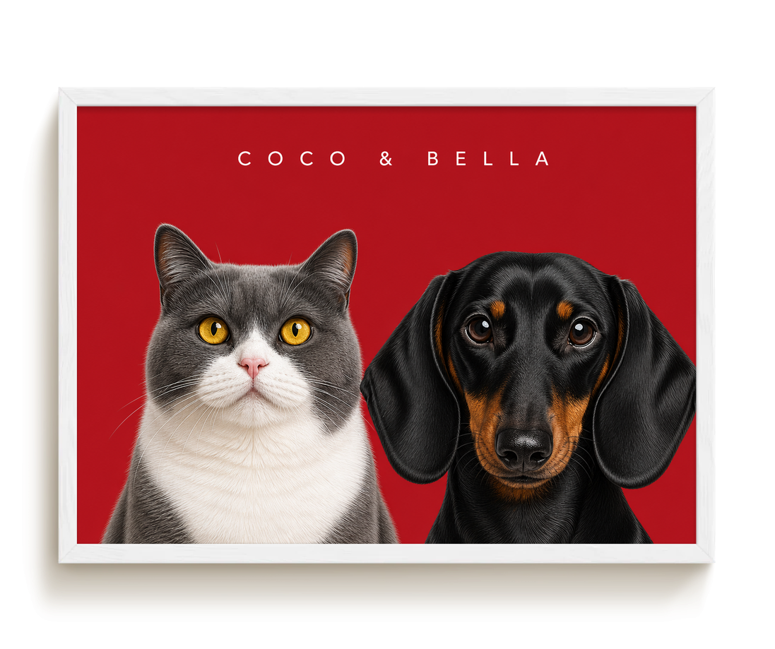 pdp-map:3562934e2aba7a64:modern_portrait__coco-bella__bg-aa2028__text-f7f7f7__White_Horizontal.png