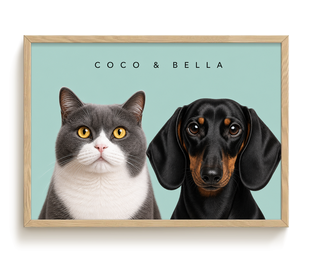 pdp-map:fe8cda1d33af56eb:modern_portrait__coco-bella__bg-add6cc__text-242424__Birch_Horizontal.png