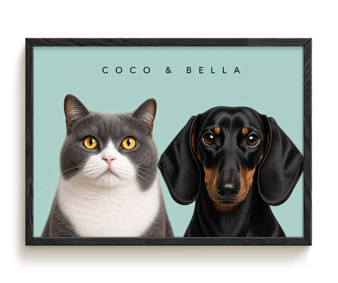 pdp-map:3eabe689d5ff3da3:modern_portrait__coco-bella__bg-add6cc__text-242424__Black_Horizontal.png