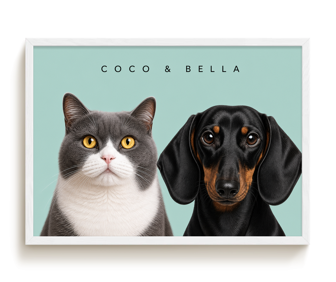pdp-map:8530962d1a7b62ed:modern_portrait__coco-bella__bg-add6cc__text-242424__White_Horizontal.png