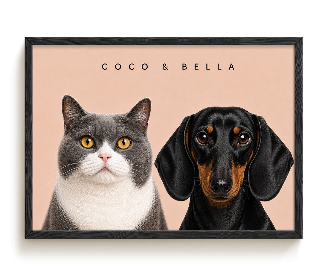 pdp-map:5f5239f3c7d48fcb:modern_portrait__coco-bella__bg-e6d3c7__text-242424__Black_Horizontal.png