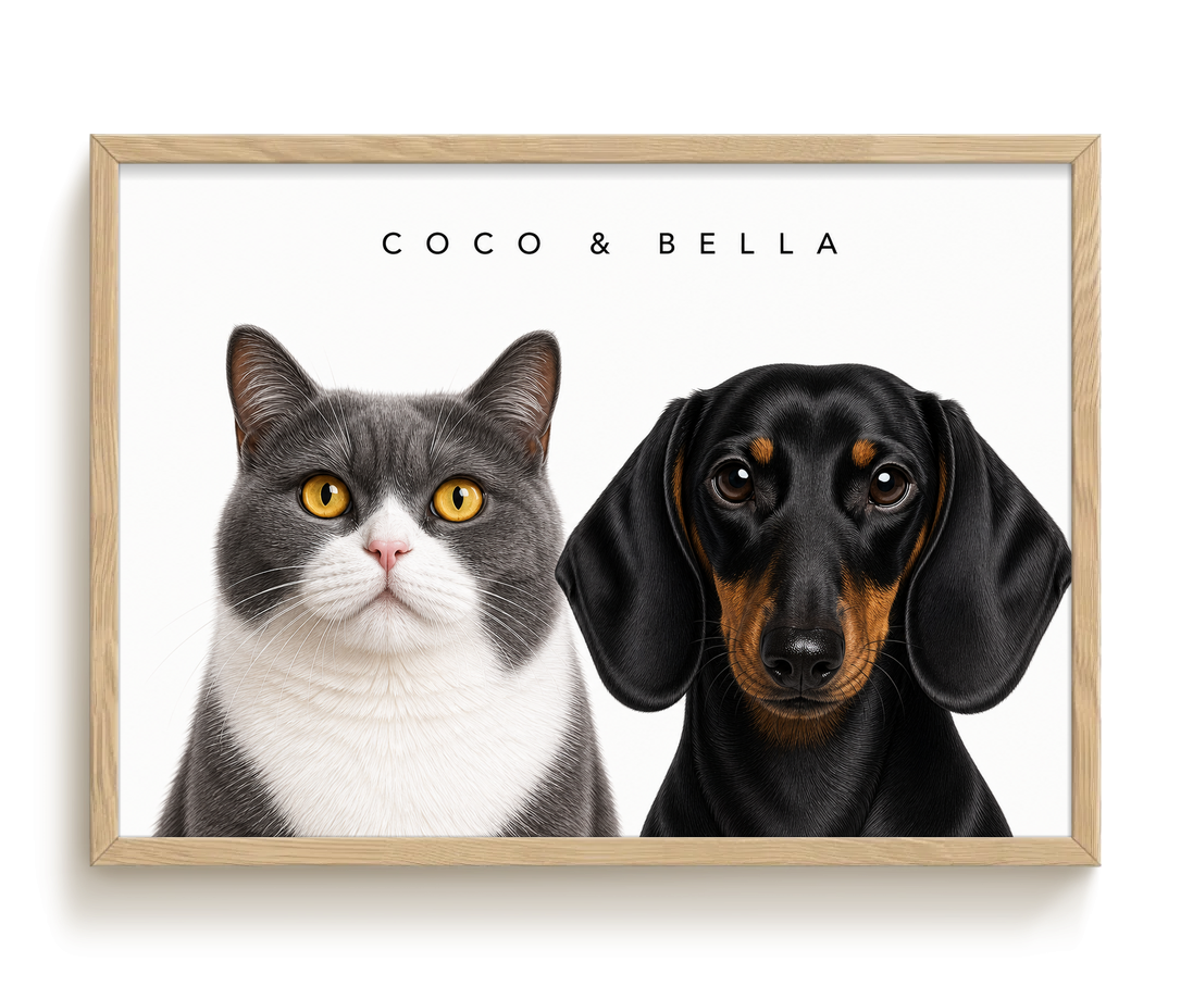 pdp-map:ac1937fce5f7fa64:modern_portrait__coco-bella__bg-f7f7f7__text-242424__Birch_Horizontal.png