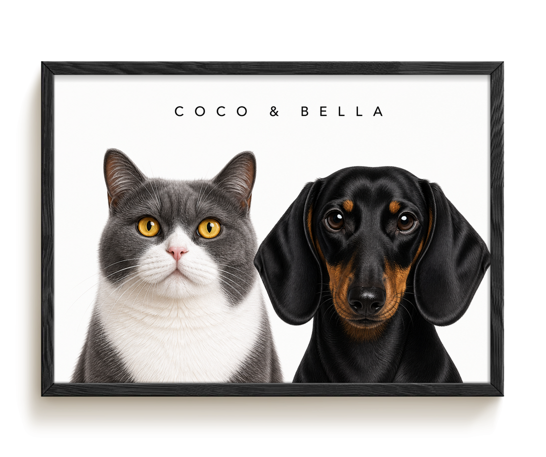 pdp-map:d90b4dd697dadcd8:modern_portrait__coco-bella__bg-f7f7f7__text-242424__Black_Horizontal.png