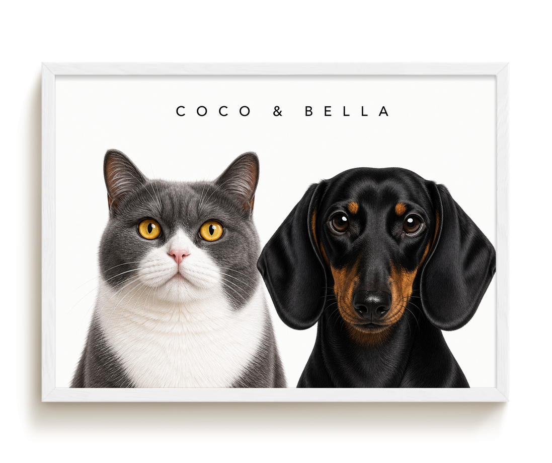 pdp-map:28e0171fc4a1b01e:modern_portrait__coco-bella__bg-f7f7f7__text-242424__White_Horizontal.png