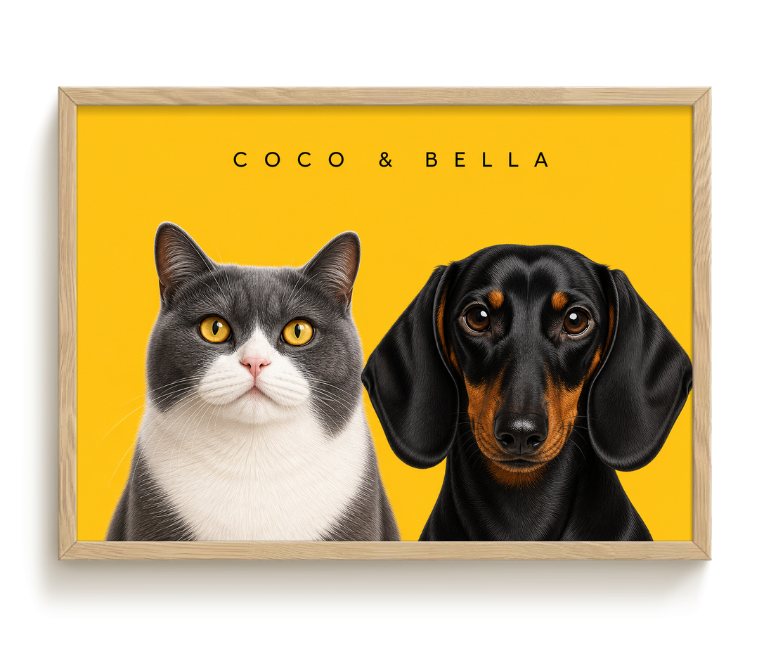 pdp-map:baa70f5942a77433:modern_portrait__coco-bella__bg-feca33__text-242424__Birch_Horizontal.png