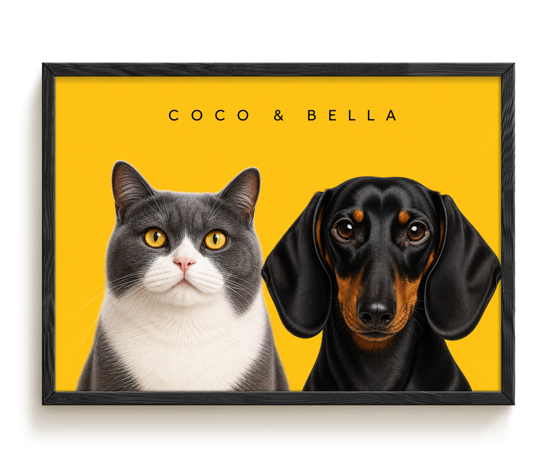 pdp-map:6caabf087ef502cc:modern_portrait__coco-bella__bg-feca33__text-242424__Black_Horizontal.png