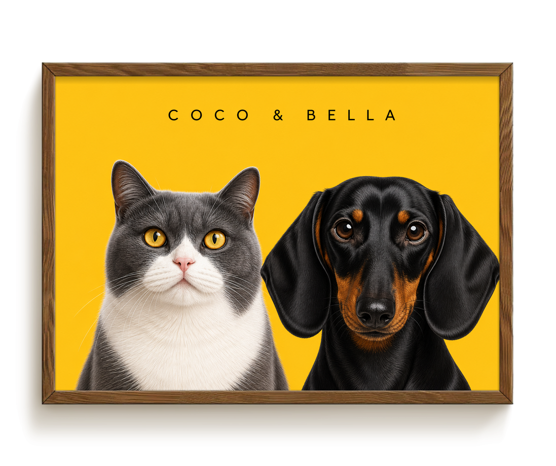pdp-map:d722bb24046c8846:modern_portrait__coco-bella__bg-feca33__text-242424__Walnut_Horizontal.png