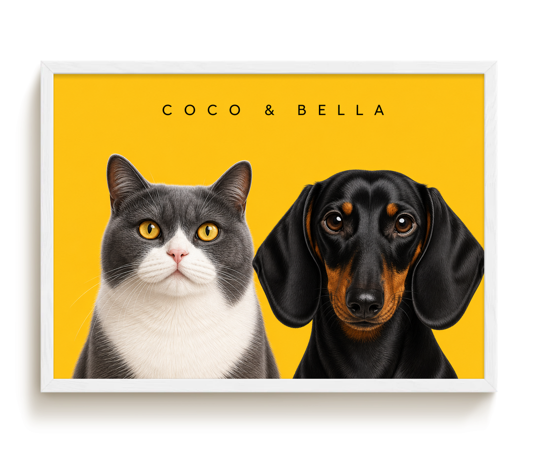 pdp-map:efb0fbab4efcccab:modern_portrait__coco-bella__bg-feca33__text-242424__White_Horizontal.png