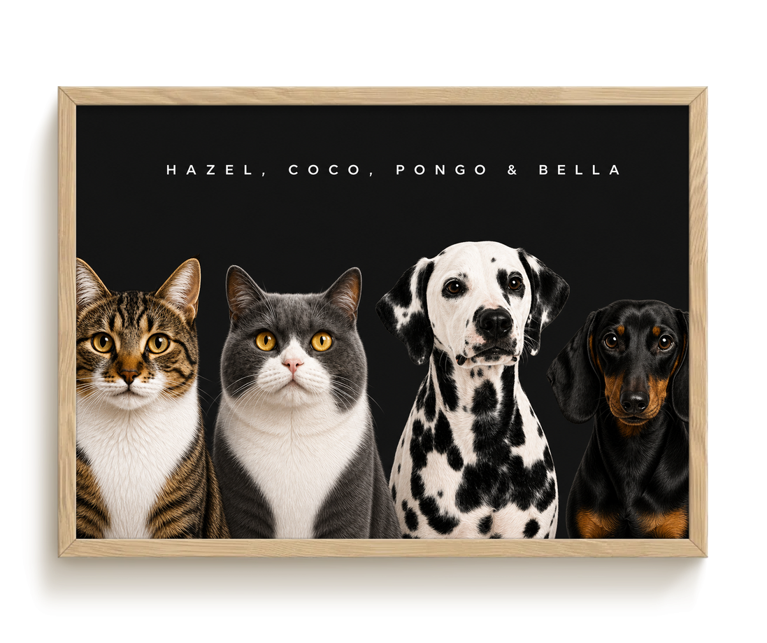 pdp-map:e3e7262aaff16345:modern_portrait__hazel-coco-pongo-bella__bg-242424__text-f7f7f7__Birch_Horizontal.png