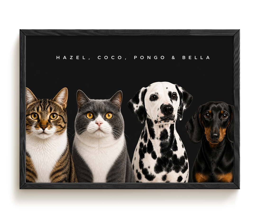 pdp-map:5cc83d440c15adab:modern_portrait__hazel-coco-pongo-bella__bg-242424__text-f7f7f7__Black_Horizontal.png
