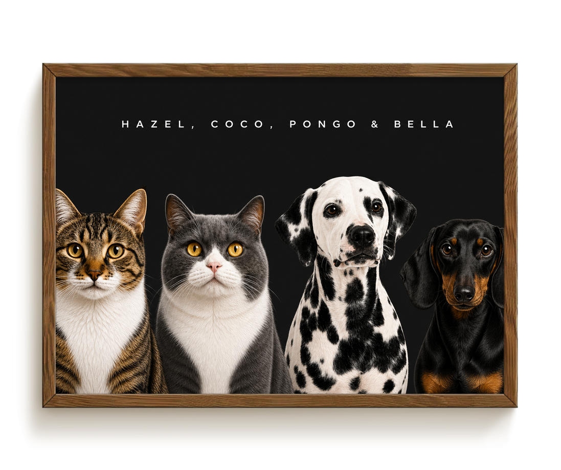 pdp-map:dc2bf45e13d0130a:modern_portrait__hazel-coco-pongo-bella__bg-242424__text-f7f7f7__Walnut_Horizontal.png