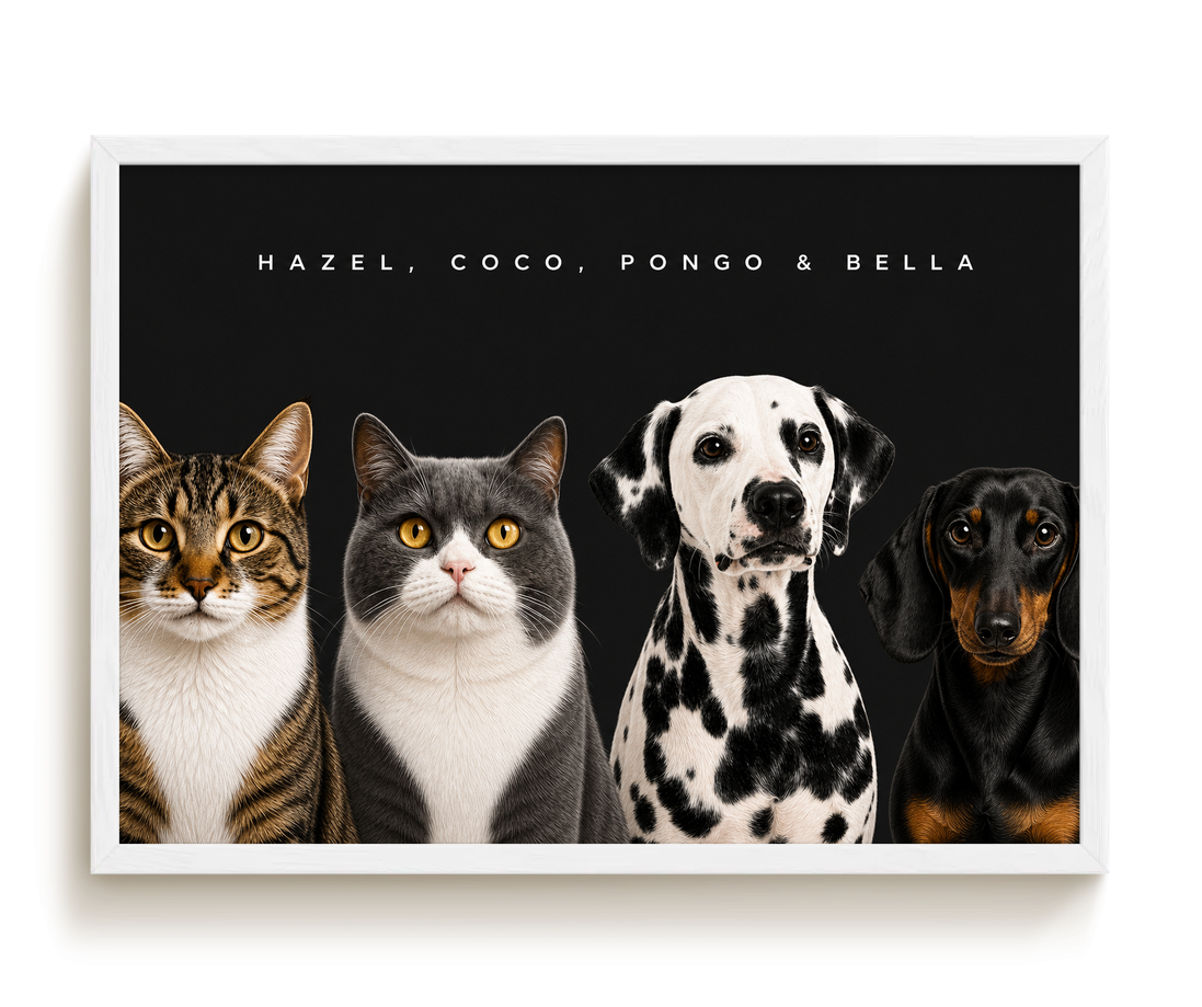 pdp-map:60f302716f720959:modern_portrait__hazel-coco-pongo-bella__bg-242424__text-f7f7f7__White_Horizontal.png