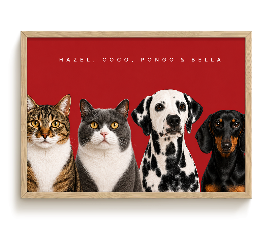 pdp-map:14b47b65aea640cf:modern_portrait__hazel-coco-pongo-bella__bg-aa2028__text-f7f7f7__Birch_Horizontal.png
