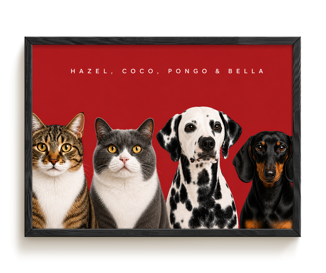 pdp-map:c1e73ee134fe947a:modern_portrait__hazel-coco-pongo-bella__bg-aa2028__text-f7f7f7__Black_Horizontal.png