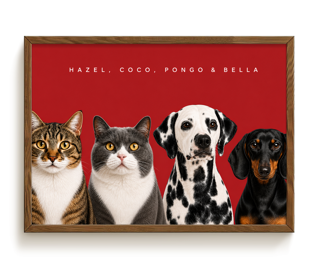 pdp-map:8d0f6a6f07082bd6:modern_portrait__hazel-coco-pongo-bella__bg-aa2028__text-f7f7f7__Walnut_Horizontal.png