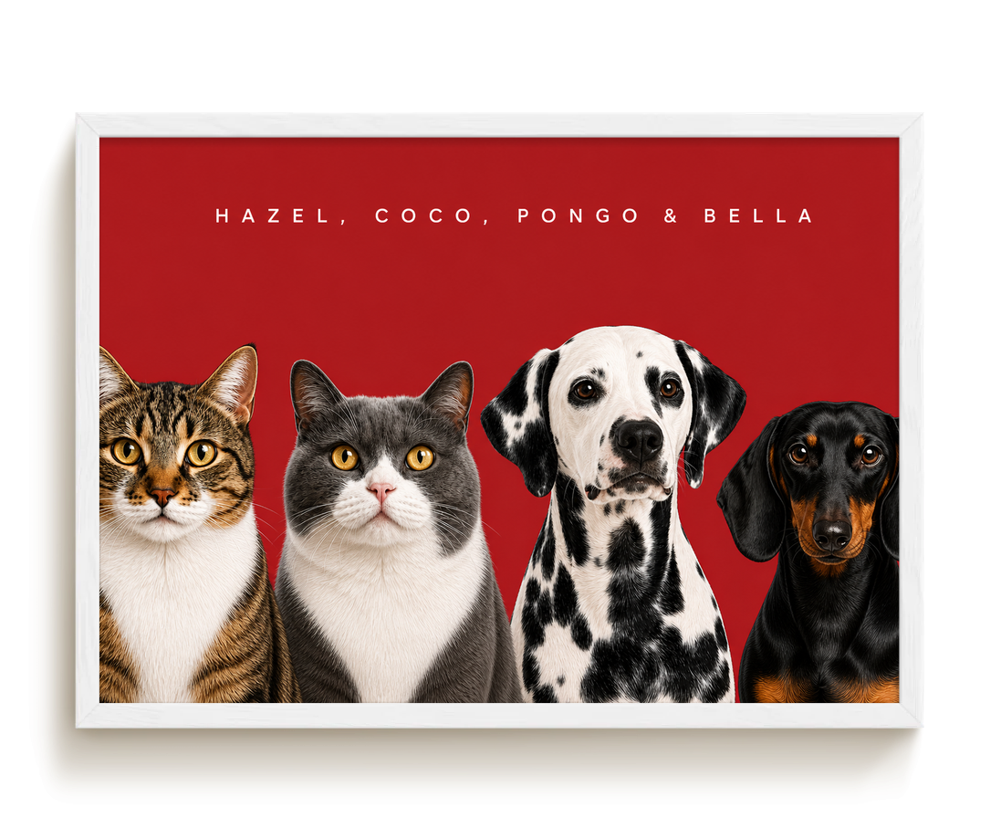 pdp-map:77c04071a3a4e959:modern_portrait__hazel-coco-pongo-bella__bg-aa2028__text-f7f7f7__White_Horizontal.png