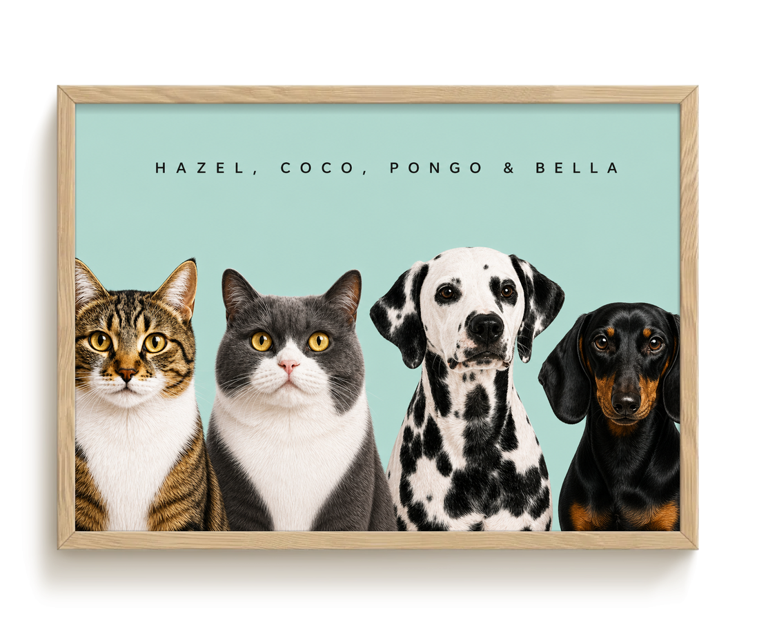pdp-map:0a8153c570c23945:modern_portrait__hazel-coco-pongo-bella__bg-add6cc__text-242424__Birch_Horizontal.png