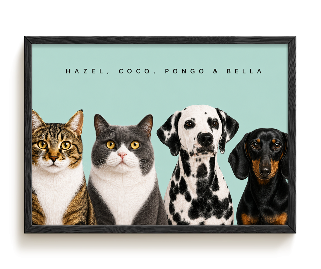 pdp-map:c718fe9644488662:modern_portrait__hazel-coco-pongo-bella__bg-add6cc__text-242424__Black_Horizontal.png