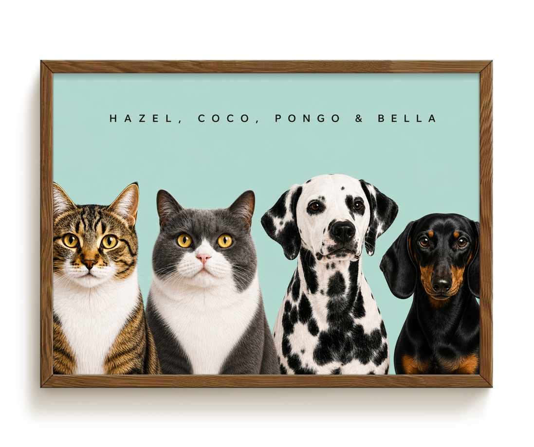 pdp-map:79d93db65e187d19:modern_portrait__hazel-coco-pongo-bella__bg-add6cc__text-242424__Walnut_Horizontal.png