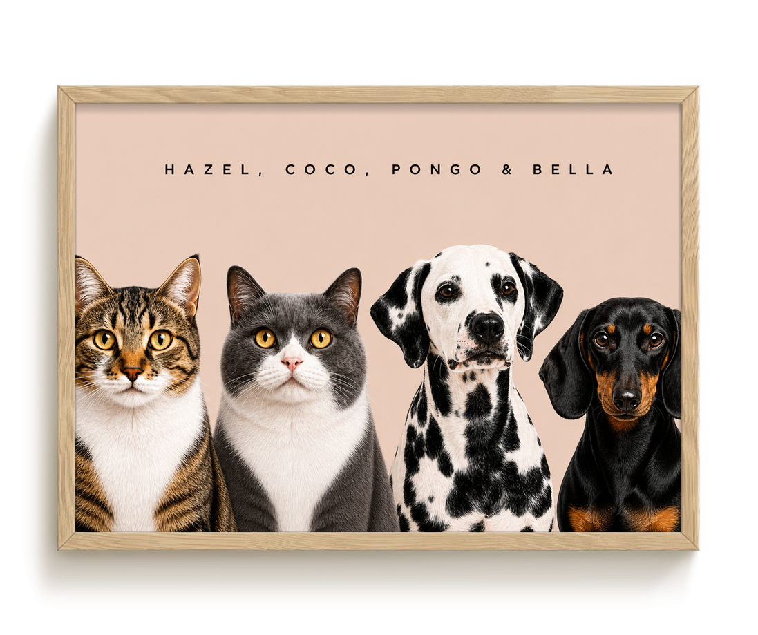 pdp-map:fdbfd9856a21a8a0:modern_portrait__hazel-coco-pongo-bella__bg-e6d3c7__text-242424__Birch_Horizontal.png