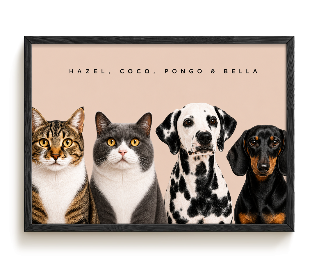 pdp-map:c8b8cb7bab9dce0f:modern_portrait__hazel-coco-pongo-bella__bg-e6d3c7__text-242424__Black_Horizontal.png