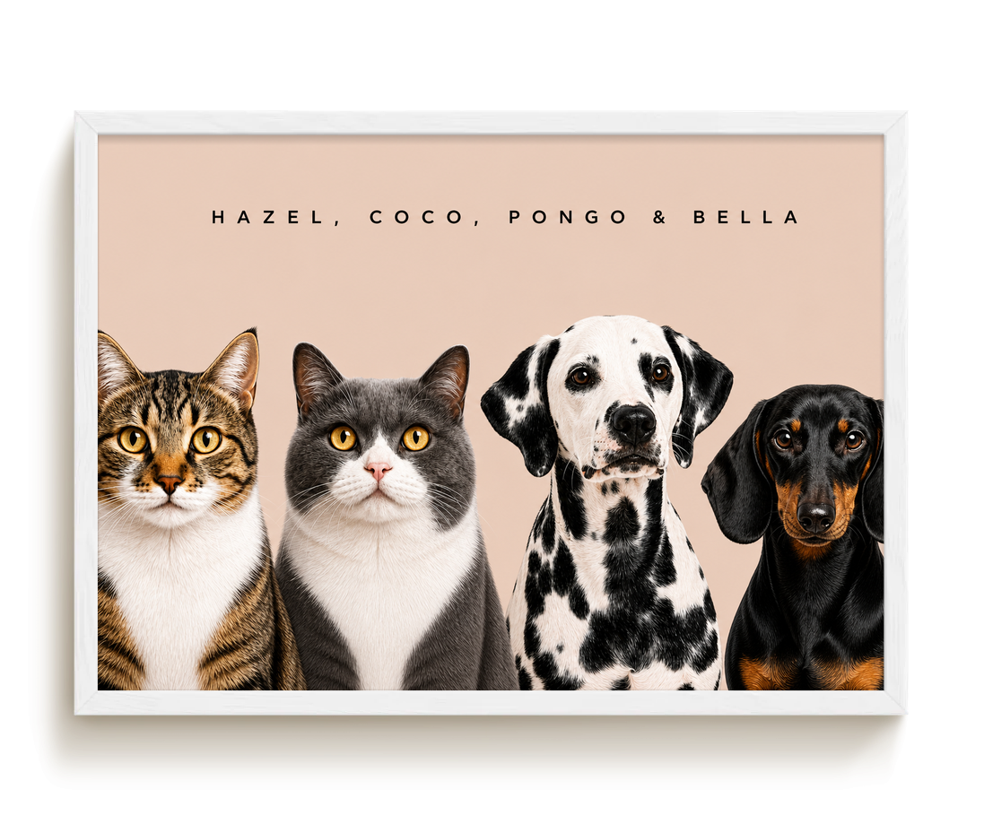 pdp-map:5e11654bb5630930:modern_portrait__hazel-coco-pongo-bella__bg-e6d3c7__text-242424__White_Horizontal.png
