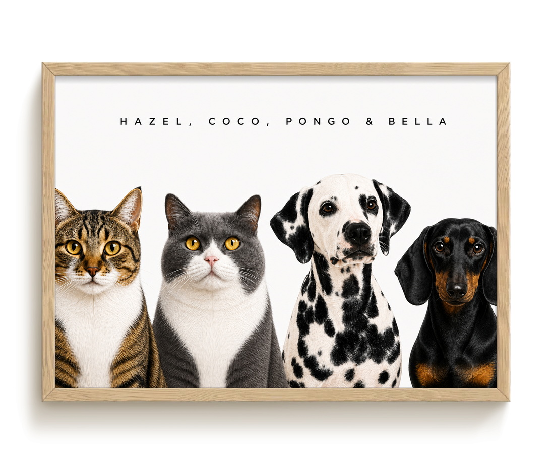 pdp-map:9f2dc4e5f942ea30:modern_portrait__hazel-coco-pongo-bella__bg-f7f7f7__text-242424__Birch_Horizontal.png