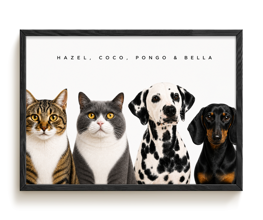 pdp-map:fe5781e655081f5b:modern_portrait__hazel-coco-pongo-bella__bg-f7f7f7__text-242424__Black_Horizontal.png