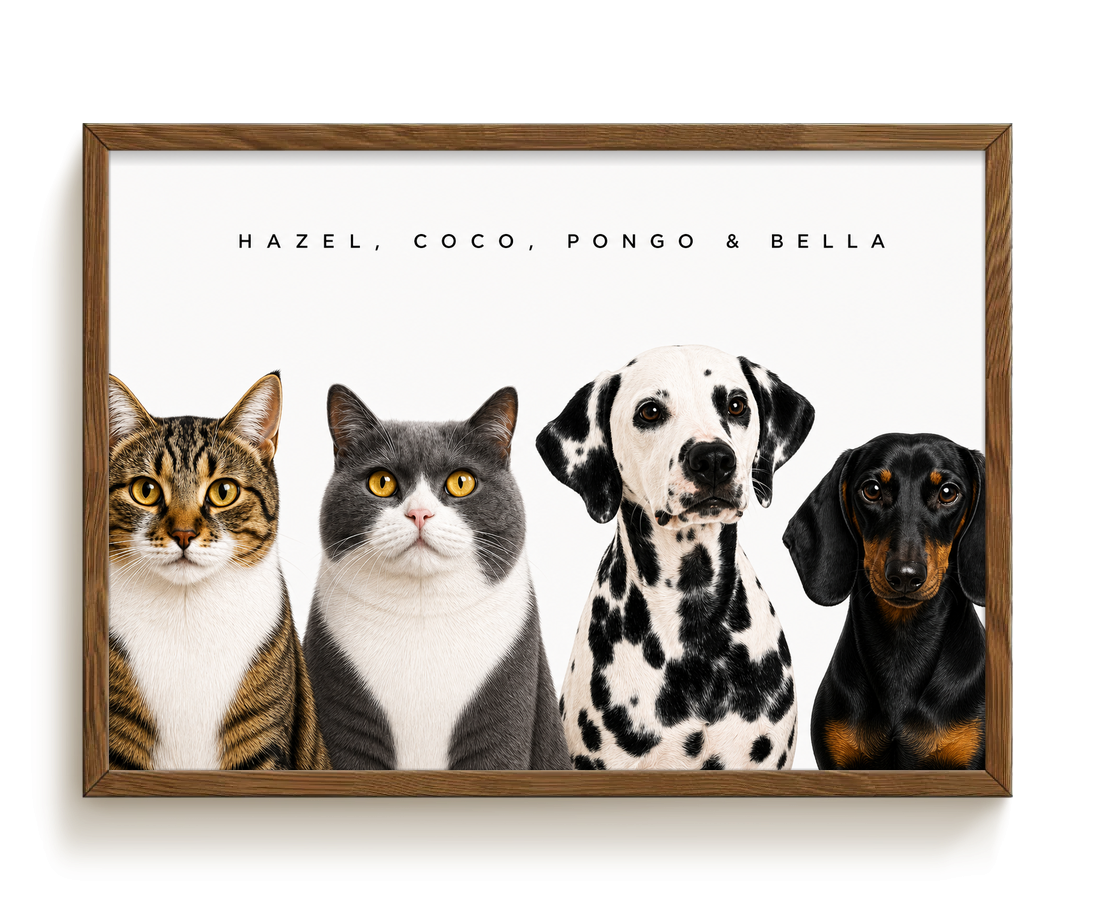 pdp-map:fccd2e977b6831dd:modern_portrait__hazel-coco-pongo-bella__bg-f7f7f7__text-242424__Walnut_Horizontal.png