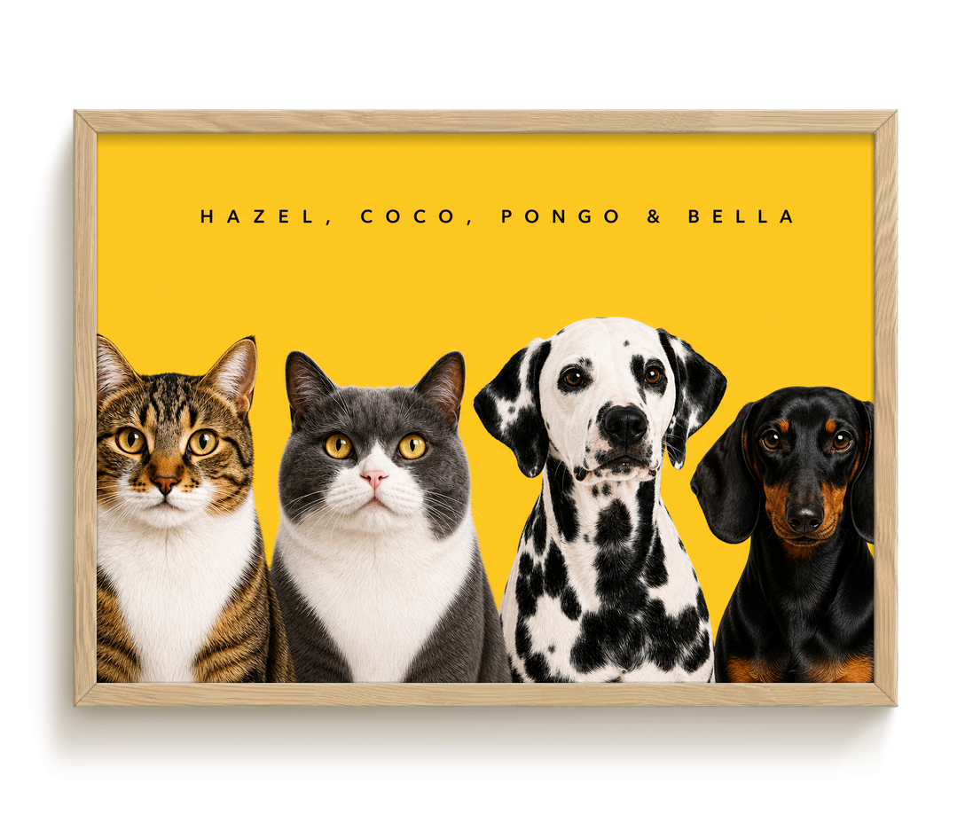 pdp-map:e1a65428221c5360:modern_portrait__hazel-coco-pongo-bella__bg-feca33__text-242424__Birch_Horizontal.png
