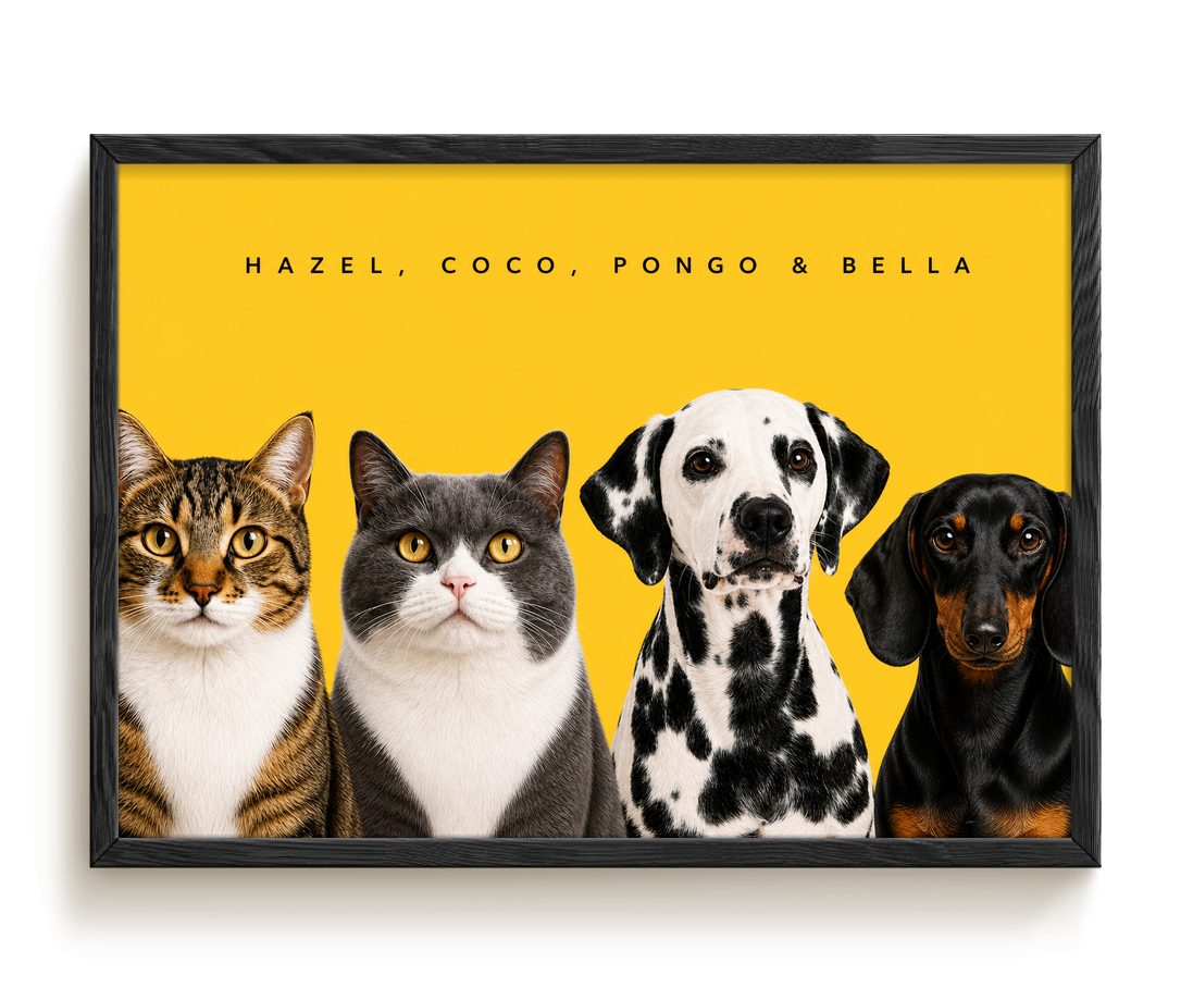 pdp-map:c9872d5abca963c0:modern_portrait__hazel-coco-pongo-bella__bg-feca33__text-242424__Black_Horizontal.png