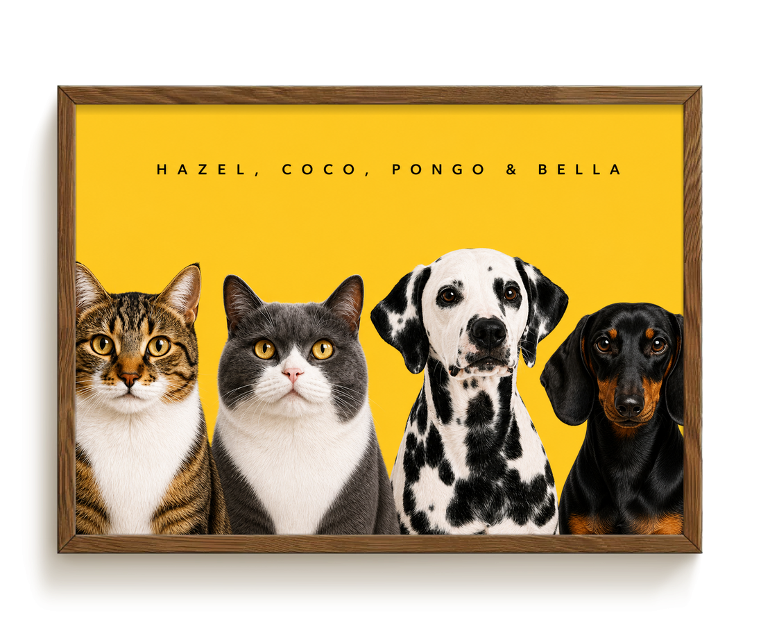 pdp-map:8ff430d4a636ce1e:modern_portrait__hazel-coco-pongo-bella__bg-feca33__text-242424__Walnut_Horizontal.png