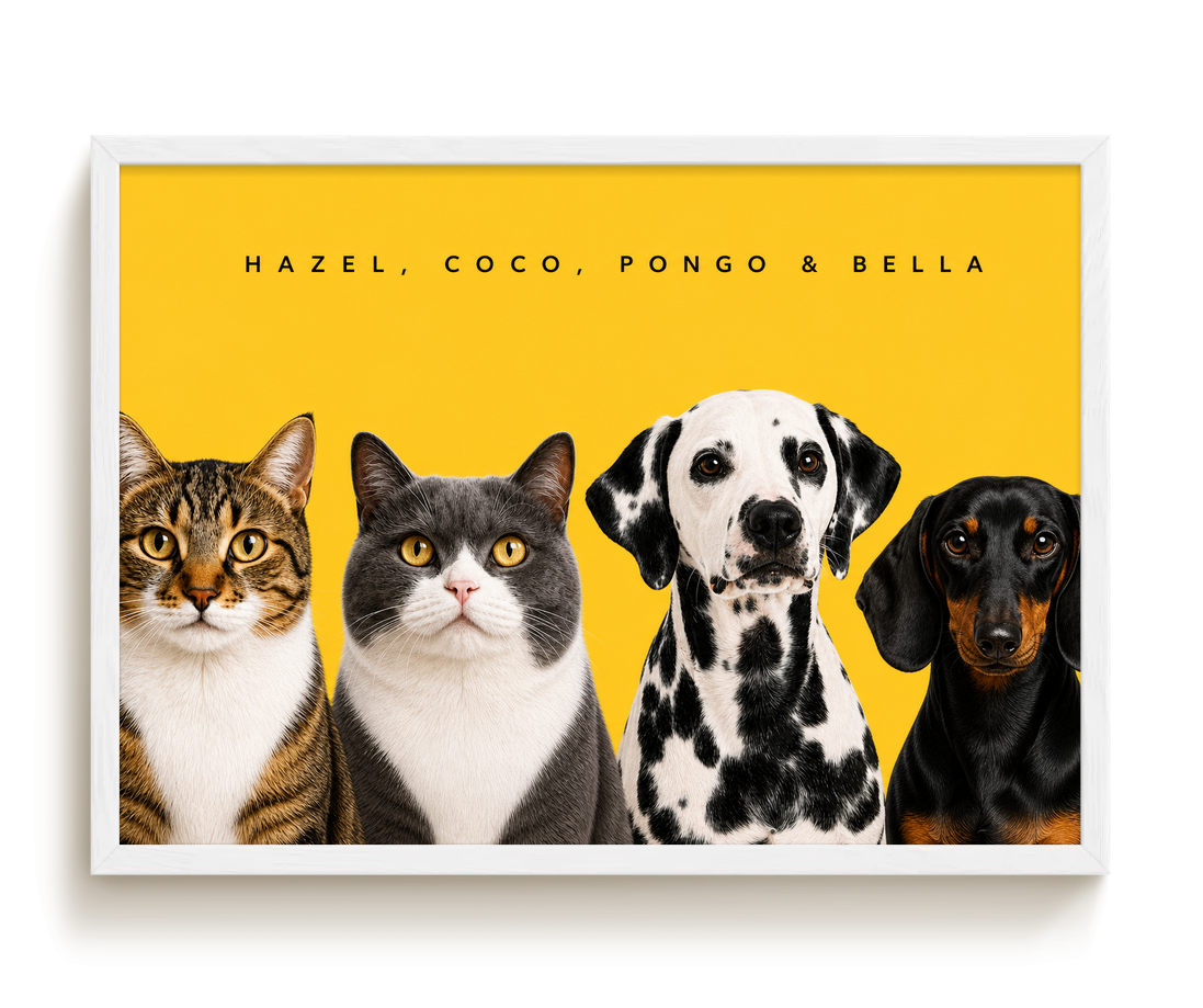 pdp-map:79943ea19b086af9:modern_portrait__hazel-coco-pongo-bella__bg-feca33__text-242424__White_Horizontal.png