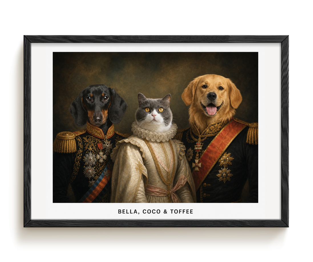 pdp-map:0816db0584add75c:royal_portrait__the_decorated_lords_lady_custom_pet_portrait__bella-coco-toffee__with-border_show-name__Black_Horizontal.png